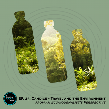 travel and the environment